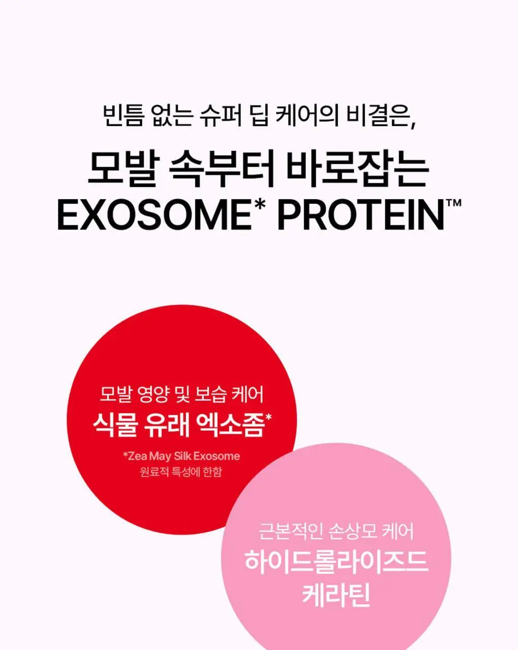 [챠미키티 에디션][손상케어] 모레모 슈퍼리페어샴푸 480ml 기획 3종 상세페이지 61